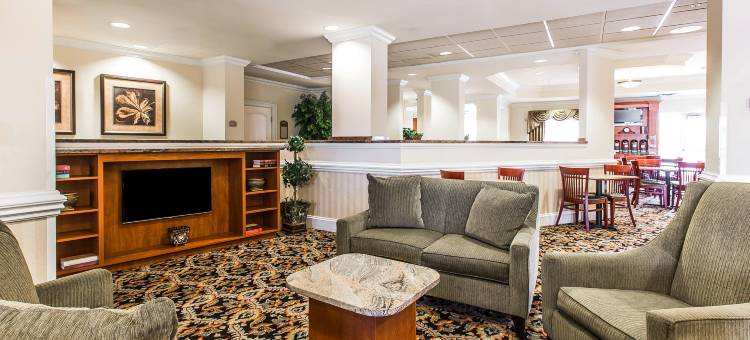 舒适套房酒店(Comfort Suites)图片