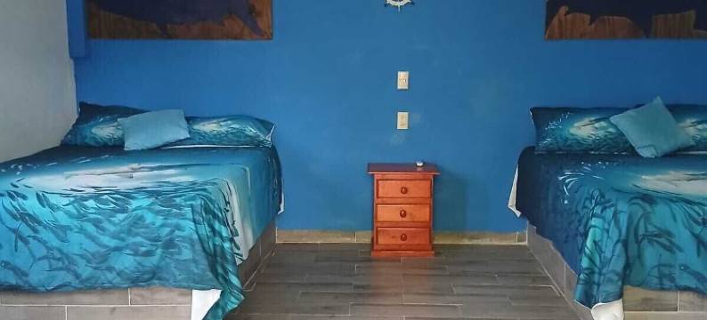 膳宿公寓(Hostal)图片