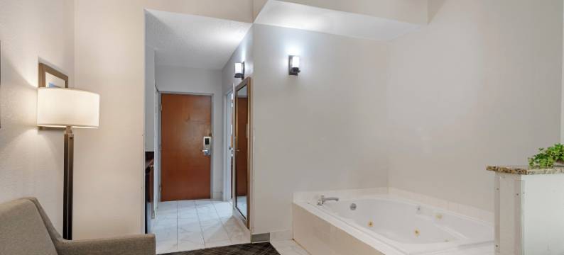 舒适酒店及套房斯帕坦堡北(Comfort Inn & Suites at I-85)图片