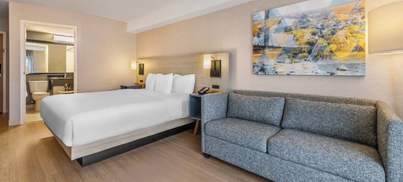 拉瓦尔舒适酒店(Comfort Inn)图片