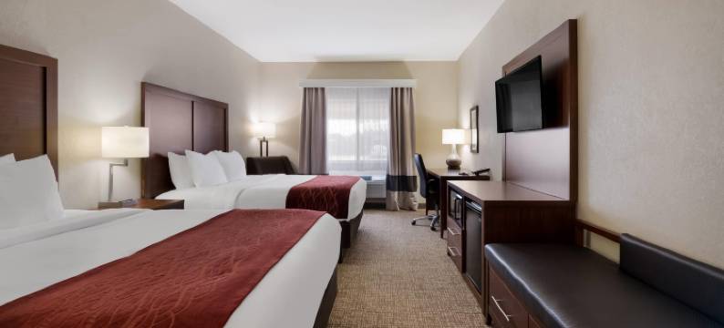 奥那拉斯加拉克罗斯区舒适酒店(Comfort Inn Onalaska - la Crosse Area)图片