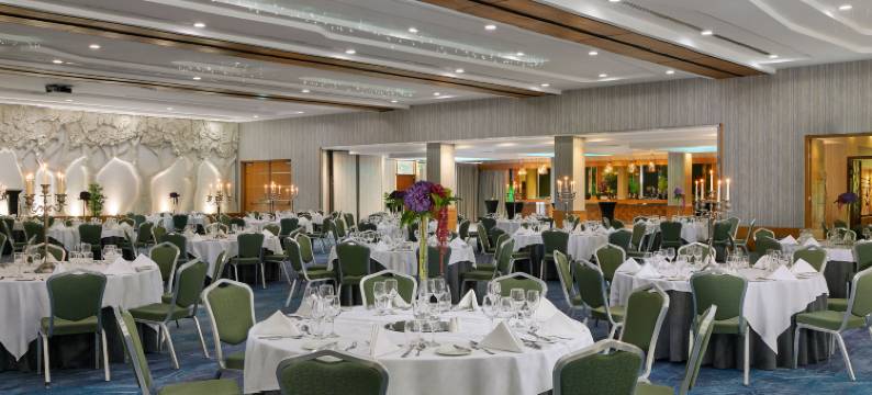 Crowne Plaza 都柏林 - 诺斯伍德(Crowne Plaza DUBLIN AIRPORT by IHG)图片