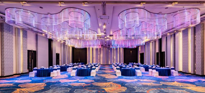 拉普萨亚吉酒店(Sayaji Raipur)图片