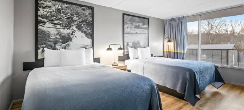 金斯波特I-81温德姆速8酒店(Super 8 by Wyndham Kingsport /I-81)图片