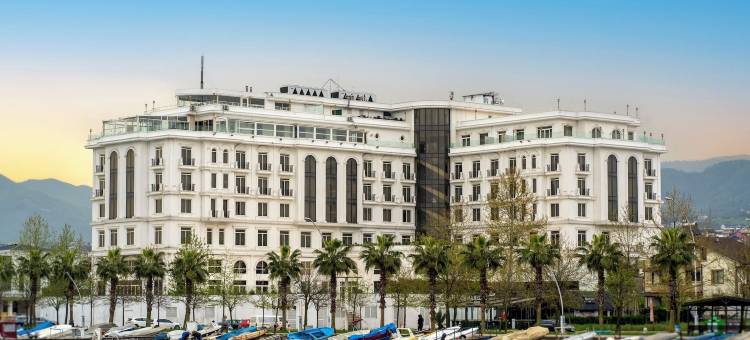 名门豪华酒店(Wellborn Luxury Hotel)图片