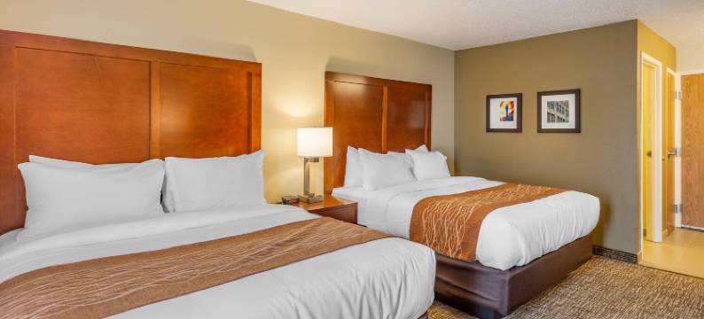 舒适酒店德卡尔布 - 大学区(Comfort Inn DeKalb - Adjacent the University)图片