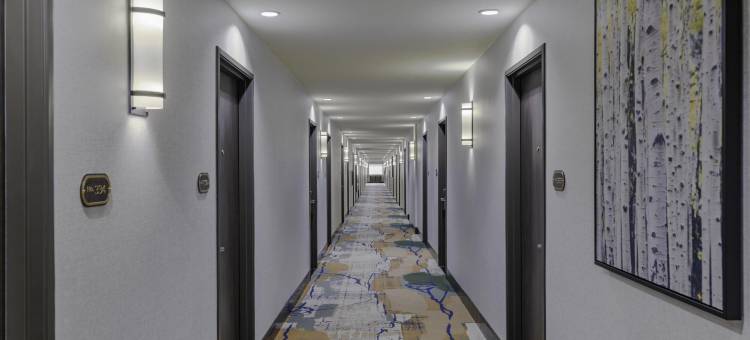 希尔顿塔佩斯特里系列纽伯里酒店本德(The Newberry Hotel Bend, Tapestry Collection by Hilton)图片