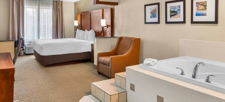 舒适套房酒店-大急流城北(Comfort Suites Grand Rapids North)图片
