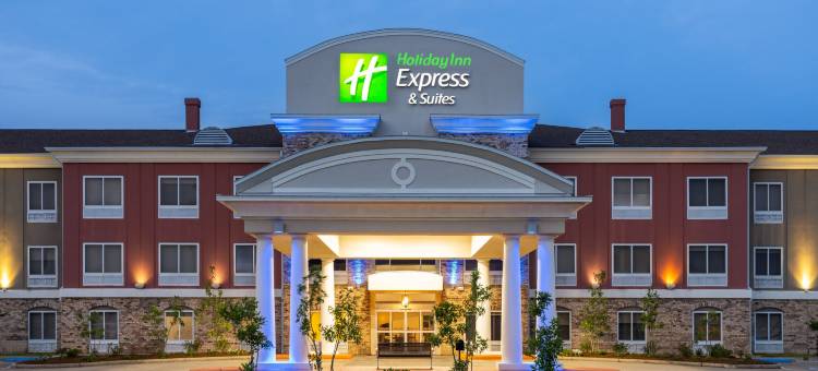 智选假日套房酒店新伊比利亚 - 艾利岛(Holiday Inn Express & Suites NEW IBERIA-AVERY ISLAND by IHG)图片