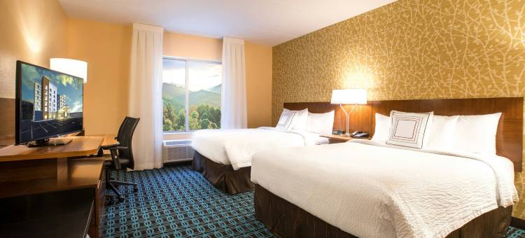 阿什维尔隧道路万枫酒店及套房(Fairfield Inn & Suites Asheville Tunnel Road)图片