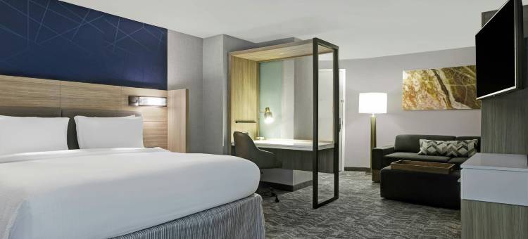 棕榈沙漠万豪SpringHill Suites酒店(SpringHill Suites Palm Desert)图片