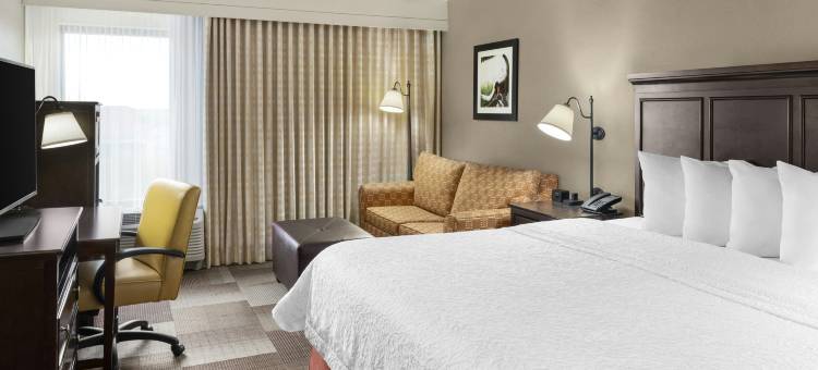 达拉斯欧文拉斯科琳娜欢朋酒店(Hampton Inn Dallas/Irving-Las Colinas)图片