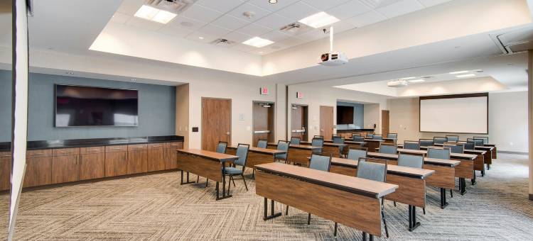 纳什维尔北天际线智选假日套房酒店(Hampton Inn & Suites by Hilton Nashville North Skyline)图片