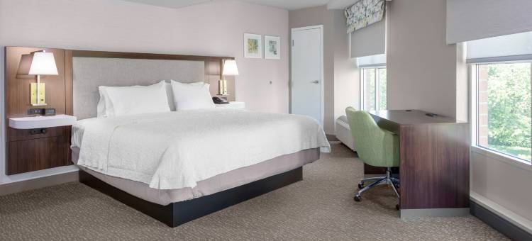 阿灵顿水晶城DCA希尔顿欢朋酒店及套房(Hampton Inn & Suites by Hilton Arlington Crystal City DCA)图片