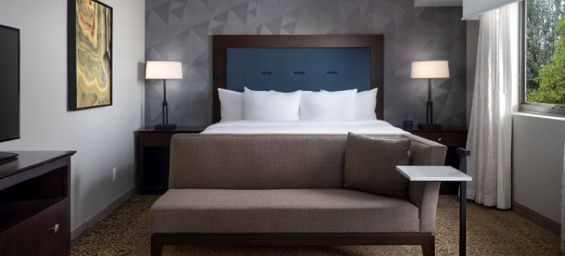 图森东希尔顿安泊酒店(Embassy Suites by Hilton Tucson East)图片