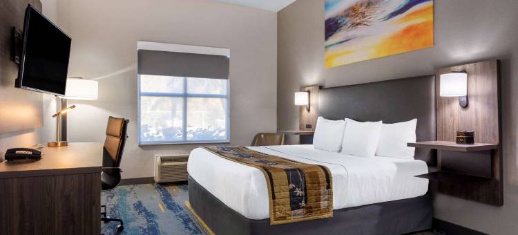 坦帕中心拉昆塔温德姆套房酒店(La Quinta Inn & Suites by Wyndham Tampa Central)图片