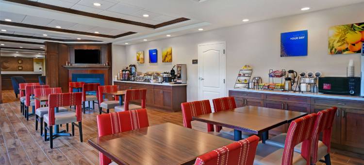 威尔顿舒适套房酒店(Comfort Inn & Suites)图片