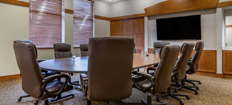 东兰辛奥克莫斯舒适酒店(Comfort Inn Okemos - East Lansing)图片