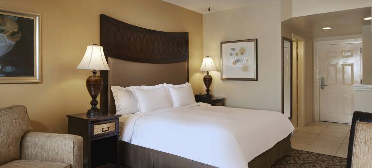 奥兰多海洋公园® 希尔顿分时度假俱乐部(Hilton Grand Vacations Club SeaWorld® Orlando)图片