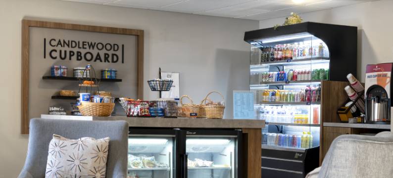 Candlewood Suites 东兰辛(Candlewood Suites EAST LANSING by IHG)图片