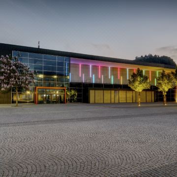Holiday Inn Express 辛根(Holiday Inn Express SINGEN by IHG)图片