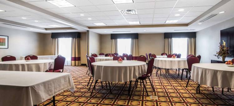 塞尔舒适套房酒店(Comfort Inn & Suites Sayre)图片