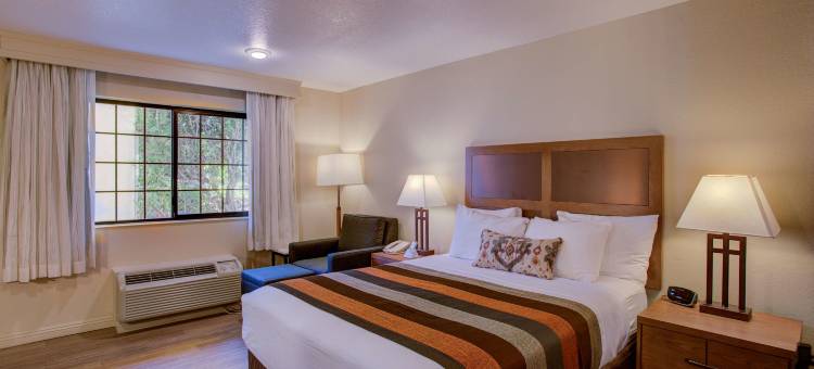 桑德曼贝斯特韦斯特酒店(Best Western Sandman Hotel)图片