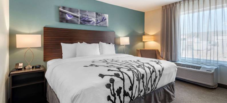 舒眠旅馆(Sleep Inn Durango)图片