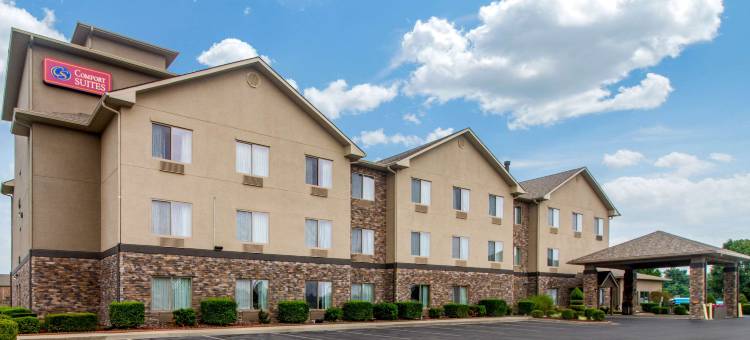 丹维尔舒适套房(Comfort Suites Danville)图片