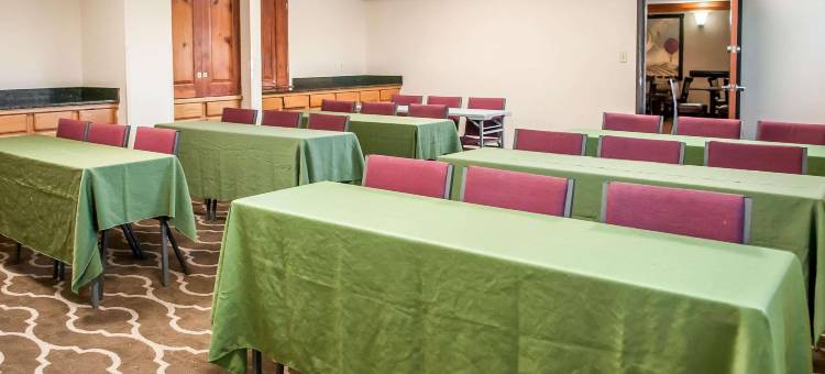 阿尔伯克基北气球嘉年华公园舒适套房酒店(Comfort Suites Albuquerque-North Journal Center)图片