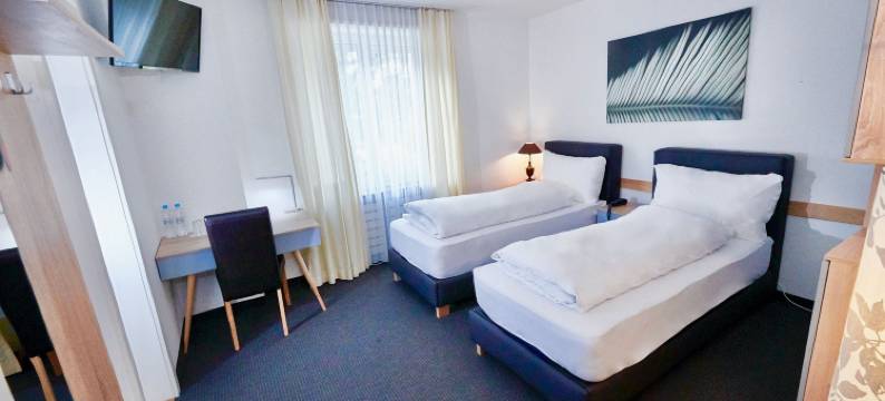 BALEGRA城市酒店巴塞尔自助入住(Hotel Balegra)图片