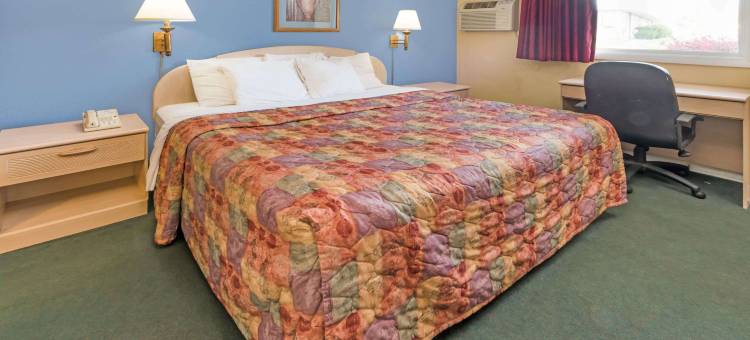 亨丽埃塔/罗切斯特地区戴斯酒店(Days Inn by Wyndham Henrietta/Rochester Area)图片