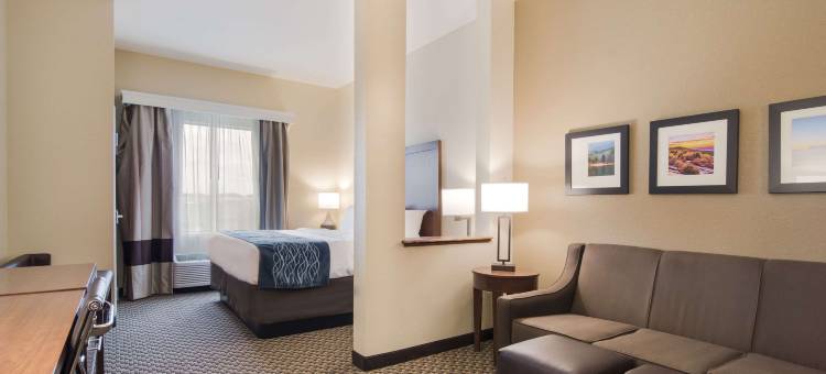 舒适套房酒店(Comfort Inn & Suites)图片
