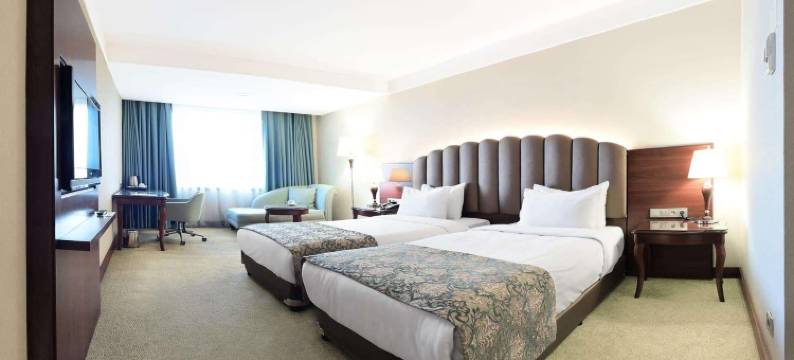 马拉提亚阿尔丁卡伊西温德姆华美达广场酒店(Ramada Plaza by Wyndham Malatya Altin Kayisi)图片