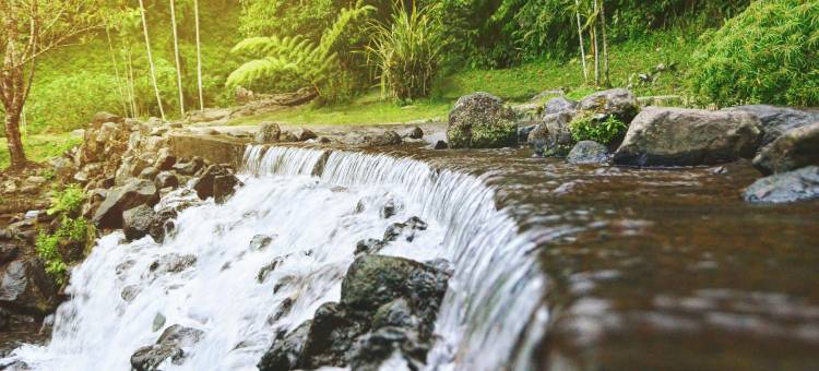 Capital O 奇帕纳斯公寓(阿加佩别墅)(Capital O Cipanas Residence (Villa Agape))图片