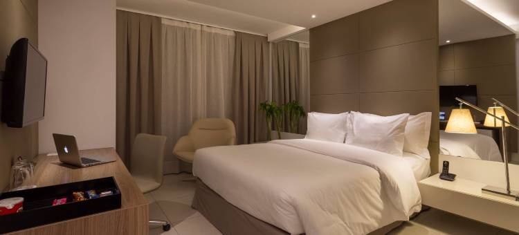 贝洛奥里藏特卢尔德希尔顿花园酒店(Hilton Garden Inn Belo Horizonte, Brazil)图片