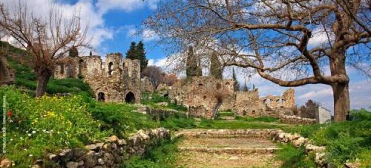 Olive and Orange Apartment图片