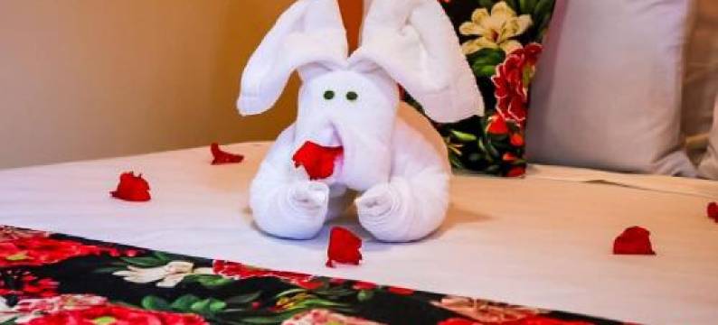 OYO Pousada Potiguar(OYO宝萨达Potiguar)(Pousada Málaga)图片