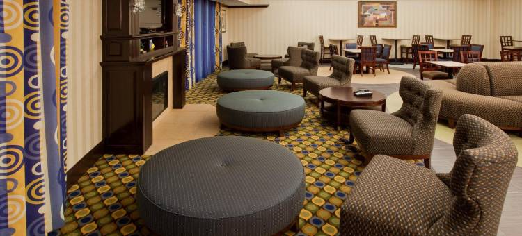 智选假日套房酒店奥斯汀南 - 布达 by IHG(Holiday Inn Express & Suites Austin South-Buda by IHG)图片