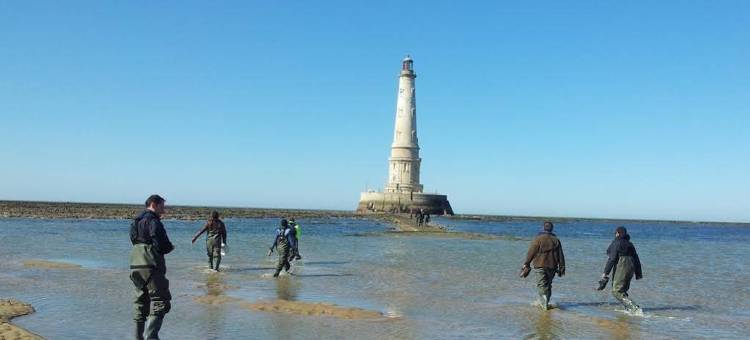 图尔酒店(Tour Hôtel)图片