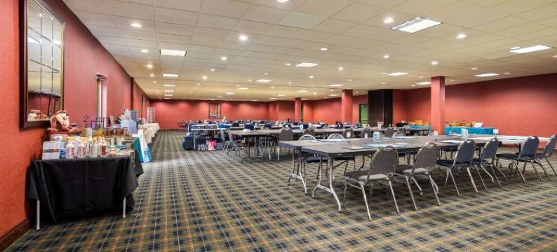 费尔格朗兹凯艺套房酒店(Quality Inn and Suites Fairgrounds - Syracuse)图片