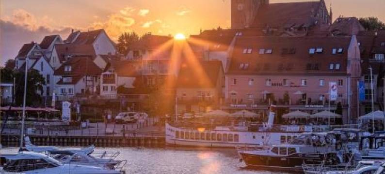 Haus Diana - Uferschwalbe图片