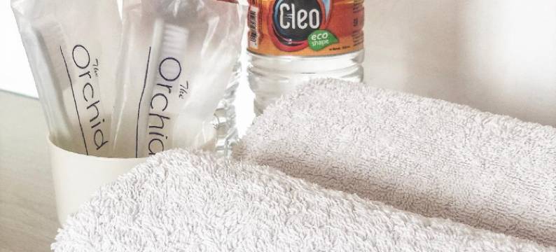 兰花酒店(The Orchid Hotel)图片