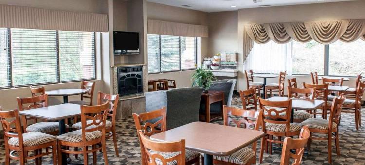 埃尔克哈特南舒适套房酒店(Comfort Suites South)图片