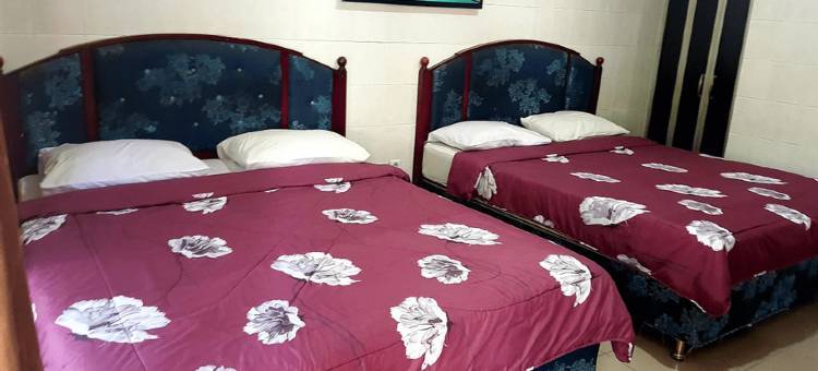 比斯莫科迪里酒店(Hotel Bismo)图片