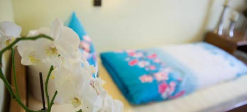 祖尔布吕克酒店(Hotel Zur Brucke)图片