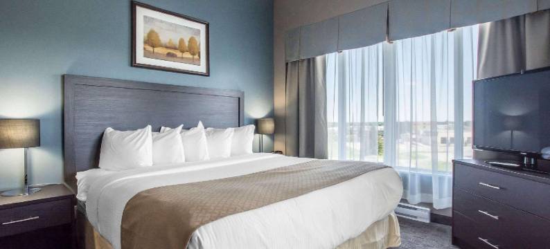 维多利亚维尔品质酒店套房(Quality Inn & Suites)图片