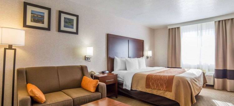 艾尔克舒适酒店(Comfort Inn Elko)图片