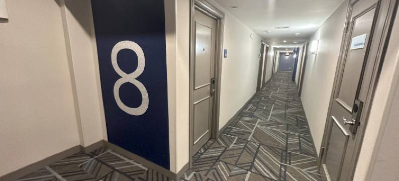 智选假日酒店达拉斯市中心(Holiday Inn Express DALLAS DOWNTOWN by IHG)图片