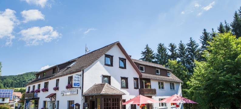 Berghof Wasserkuppe 酒店及 Fuldaquelle 客栈(Hotel Berghof Wasserkuppe & Gästehaus Fuldaquelle)图片